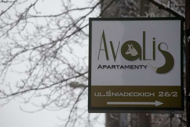 Апартаменты Avalis Apartamenty Познань-26